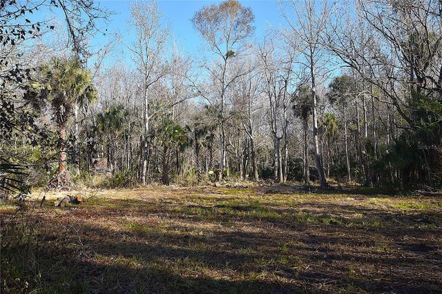 4721 LINGO GROVE ROAD, Edgewater, FL 32141