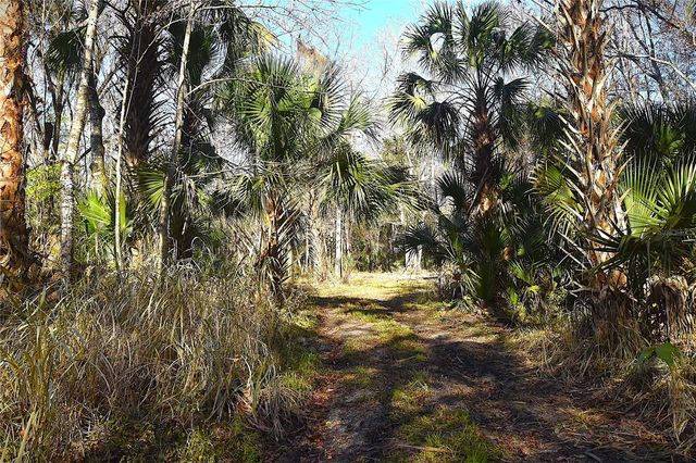 4721 LINGO GROVE ROAD, Edgewater, FL 32141