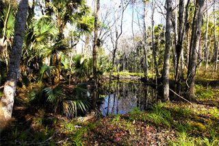 4721 LINGO GROVE ROAD, Edgewater, FL 32141