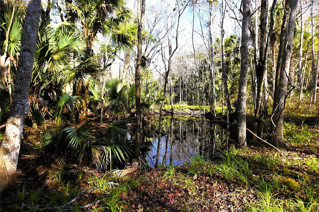 4721 LINGO GROVE ROAD, Edgewater, FL 32141