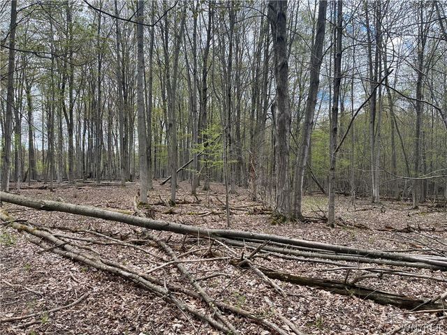 9832 Francis Road, Bethany, NY 14020