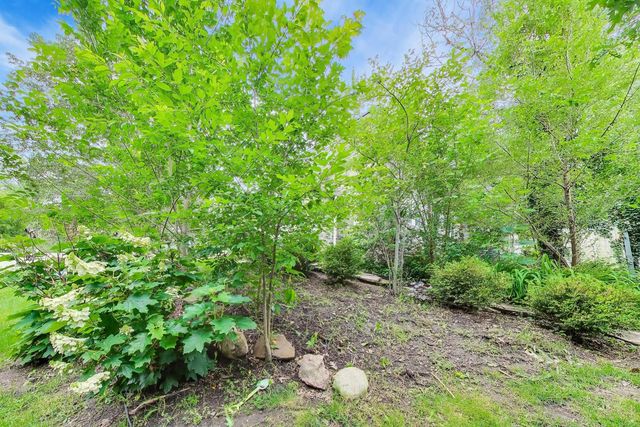 165 S Maple Street, Palatine, IL 60067