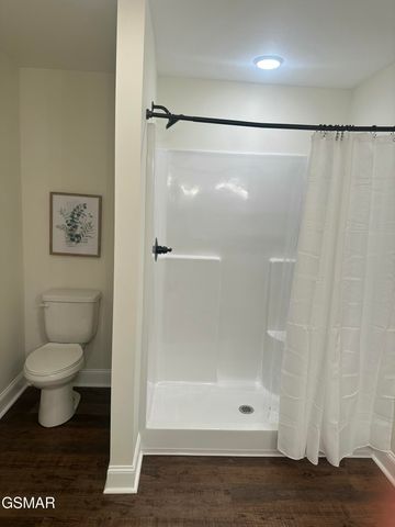 540 Henderson Road, Pigeon Forge, TN 37863