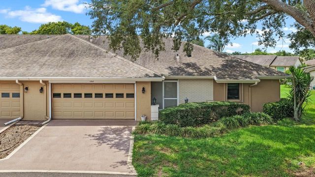 1317 LELAND DRIVE, Sun City Center, FL 33573