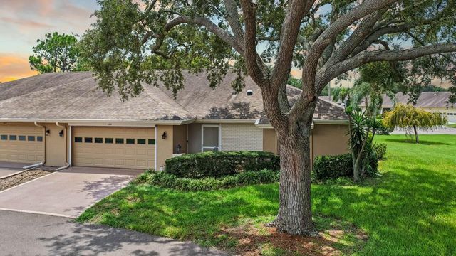 1317 LELAND DRIVE, Sun City Center, FL 33573
