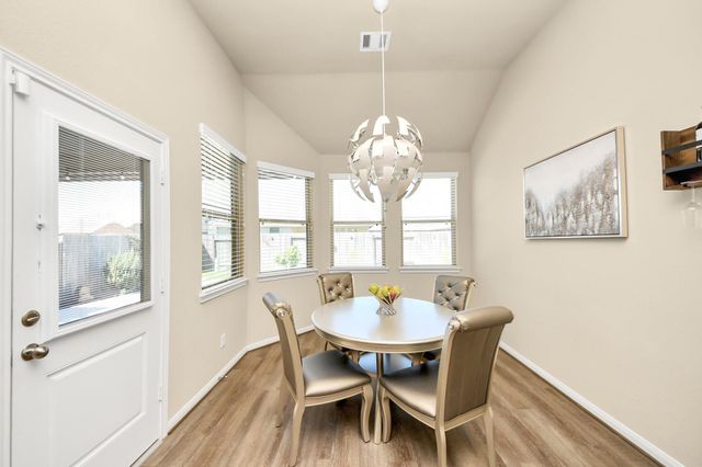 16207 Amber Brown Drive, Hockley, TX 77447