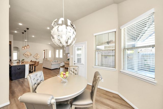 16207 Amber Brown Drive, Hockley, TX 77447