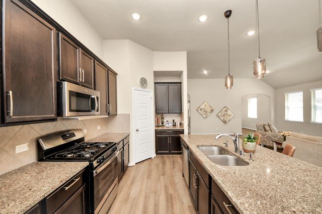 16207 Amber Brown Drive, Hockley, TX 77447