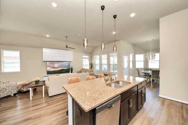 16207 Amber Brown Drive, Hockley, TX 77447