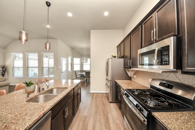 16207 Amber Brown Drive, Hockley, TX 77447