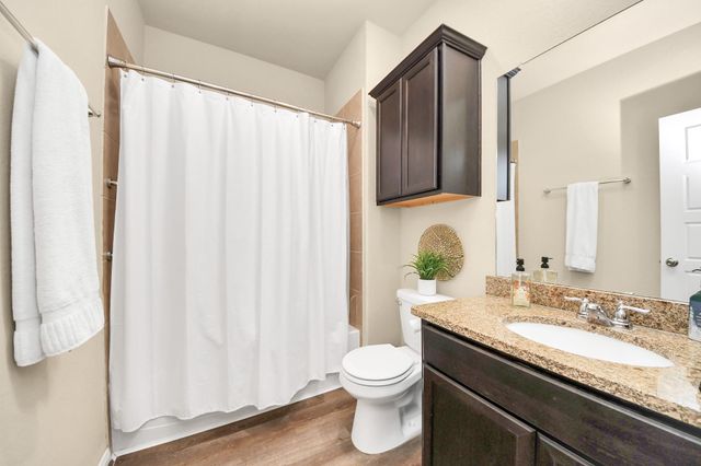 16207 Amber Brown Drive, Hockley, TX 77447