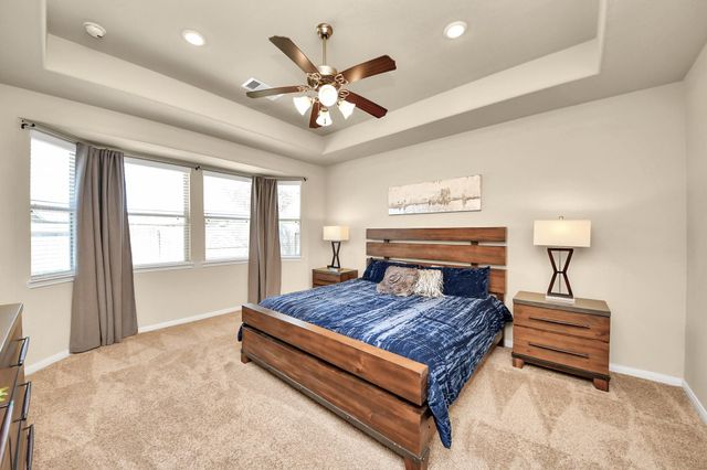 16207 Amber Brown Drive, Hockley, TX 77447