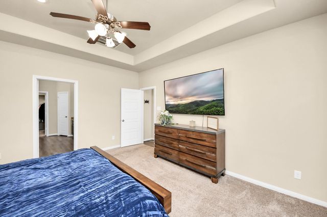 16207 Amber Brown Drive, Hockley, TX 77447