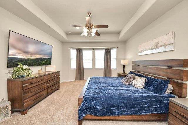 16207 Amber Brown Drive, Hockley, TX 77447