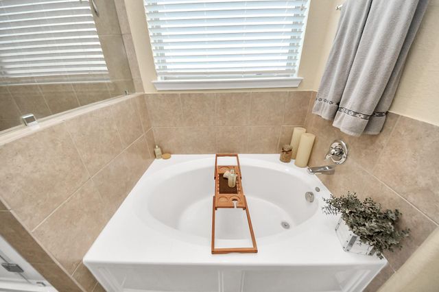 16207 Amber Brown Drive, Hockley, TX 77447