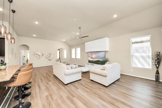 16207 Amber Brown Drive, Hockley, TX 77447