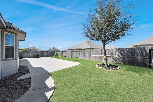 16207 Amber Brown Drive, Hockley, TX 77447