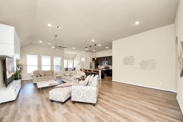 16207 Amber Brown Drive, Hockley, TX 77447