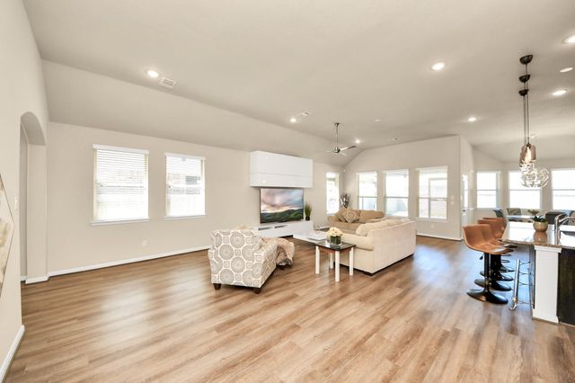 16207 Amber Brown Drive, Hockley, TX 77447