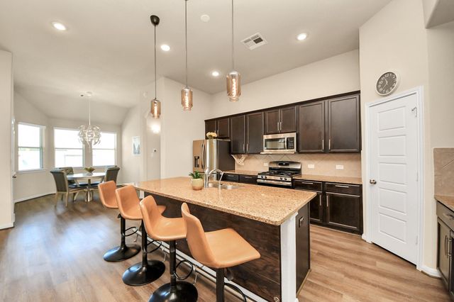 16207 Amber Brown Drive, Hockley, TX 77447