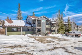 10000 Ryan Gulch Road 116, Silverthorne, CO 80498