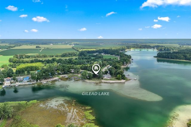 773 Gilead Shores Drive, Bronson, MI 49028