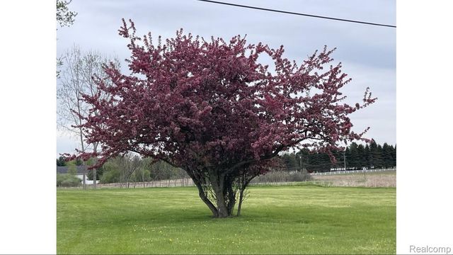 9507 Modena Farms, Salem Township, MI 48178