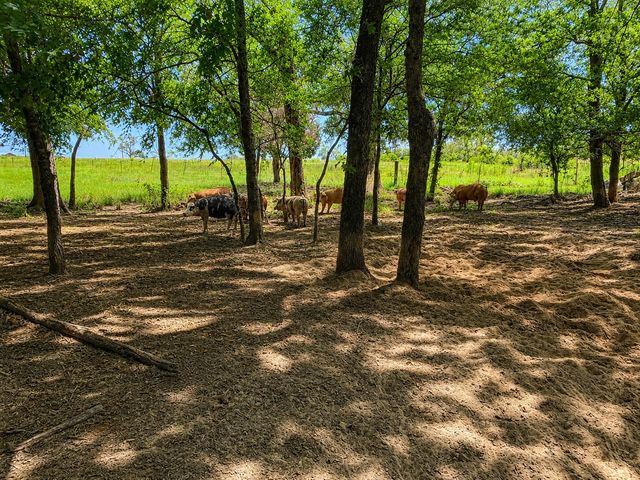 1143 RS County Road 2300, Emory, TX 75440