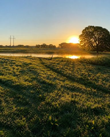 1143 RS County Road 2300, Emory, TX 75440