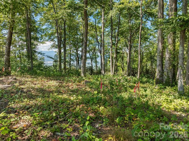 Lot 42 Haven View Trail, Fletcher, NC 28732