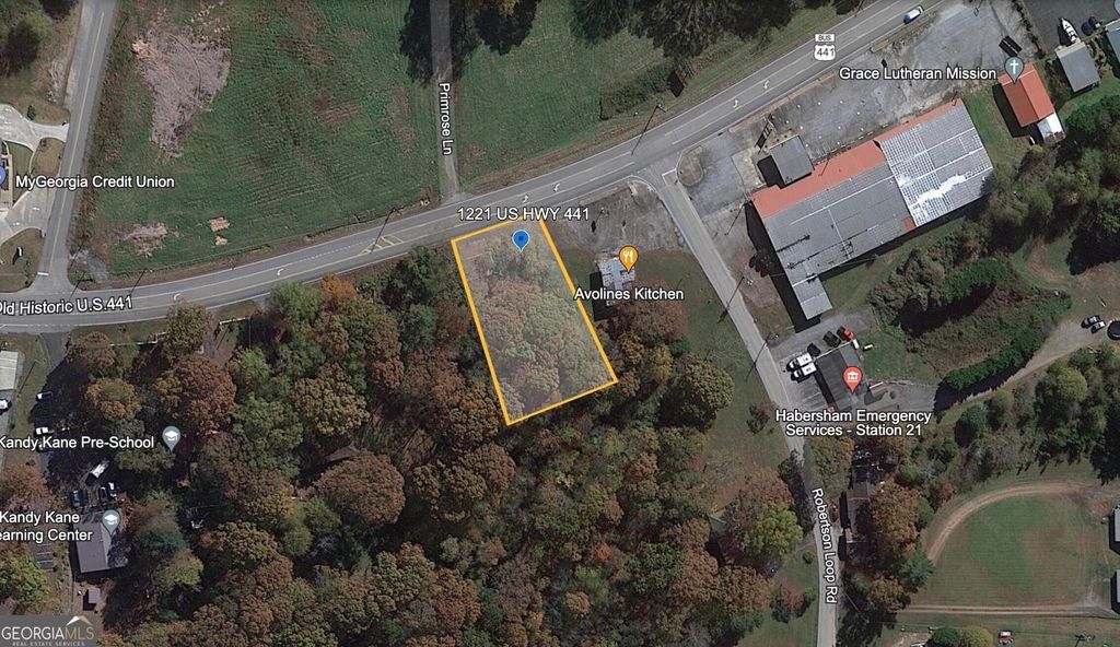1221 Historic Hwy 441 N, Clarkesville, GA 30523 — photo 2