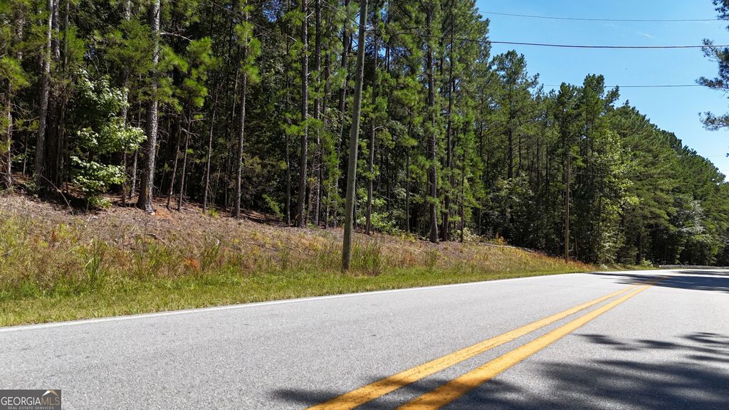 0 Ruckersville Rd Creek, Elberton, GA 30635 — photo 5