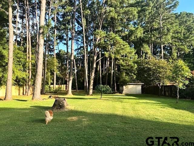 21105 Altuda Ln, Flint, TX 75762