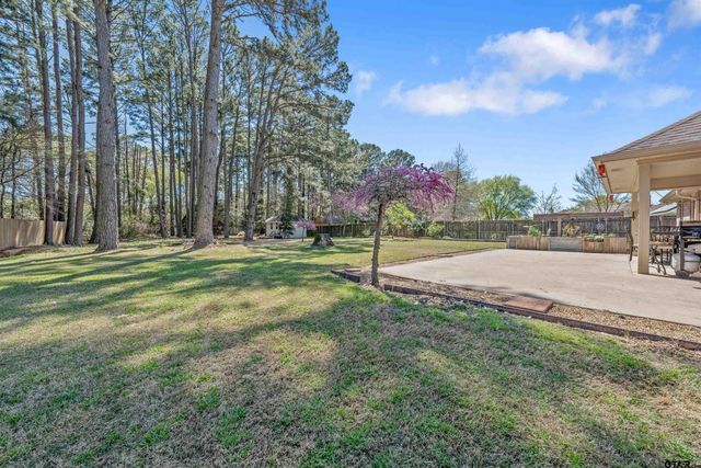 21105 Altuda Ln, Flint, TX 75762