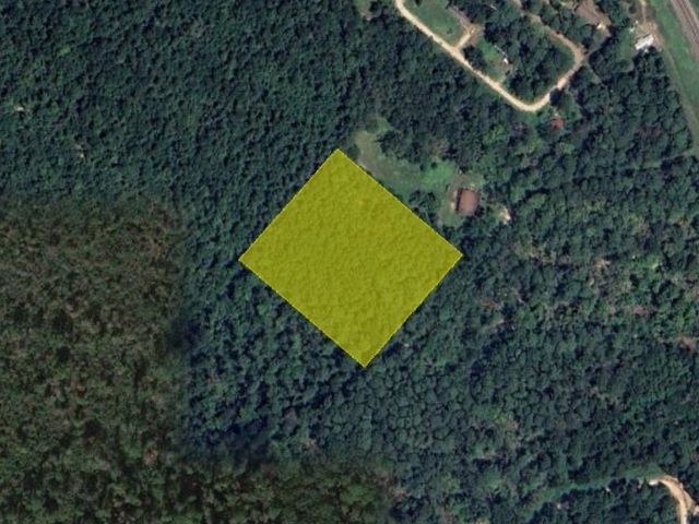 0 Lizzie Ben, Coldspring, TX 77331