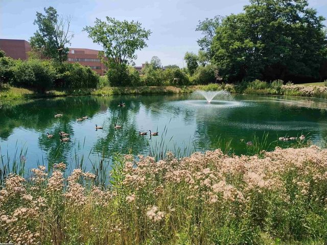 6619 Apt 102 Ridgefield Cir Street, West Bloomfield Twp, MI 48322