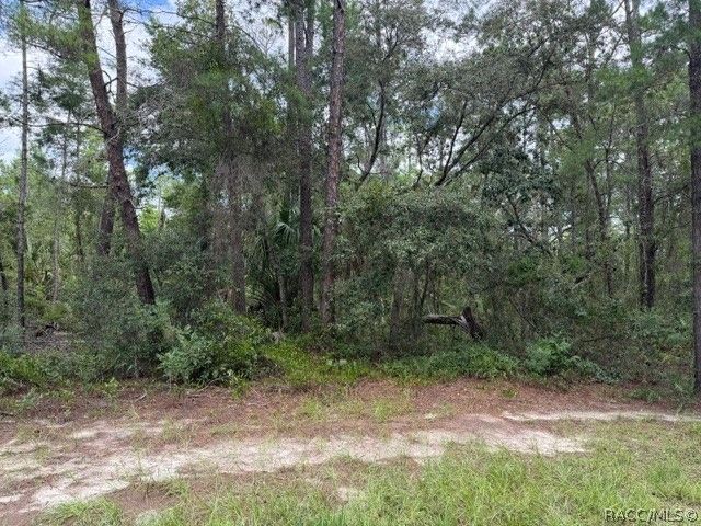 13, 15, & 16 Petunias Court, Homosassa, FL 34446
