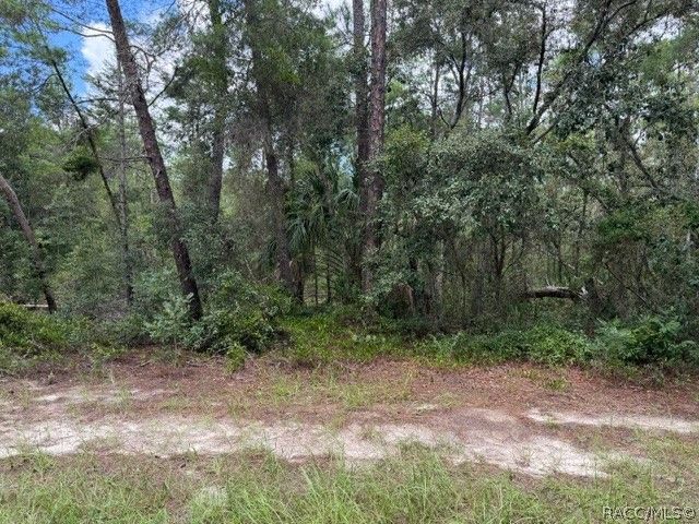 13, 15, & 16 Petunias Court, Homosassa, FL 34446