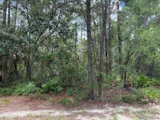 13, 15, & 16 Petunias Court, Homosassa, FL 34446