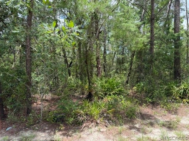 13, 15, & 16 Petunias Court, Homosassa, FL 34446