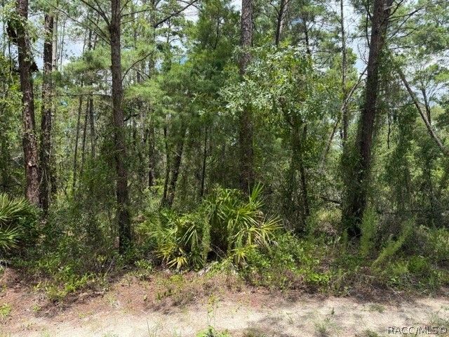 13, 15, & 16 Petunias Court, Homosassa, FL 34446