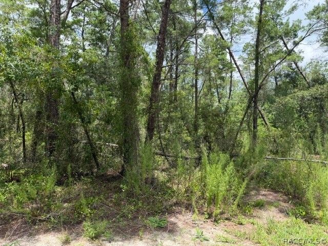 13, 15, & 16 Petunias Court, Homosassa, FL 34446