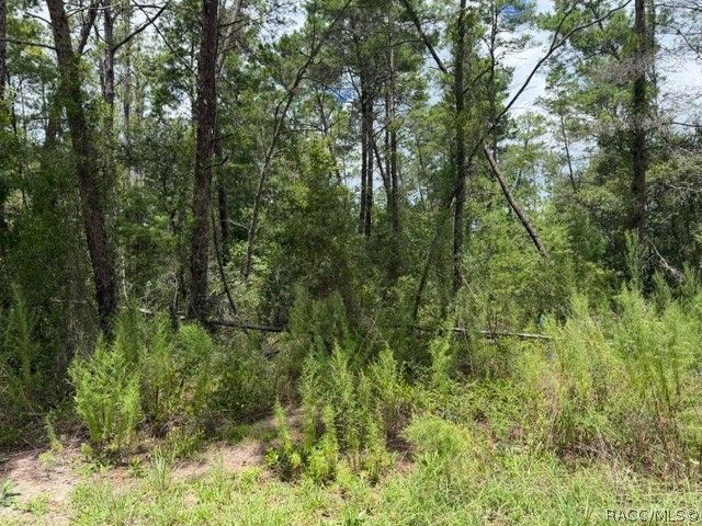 13, 15, & 16 Petunias Court, Homosassa, FL 34446