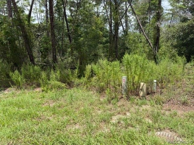 13, 15, & 16 Petunias Court, Homosassa, FL 34446