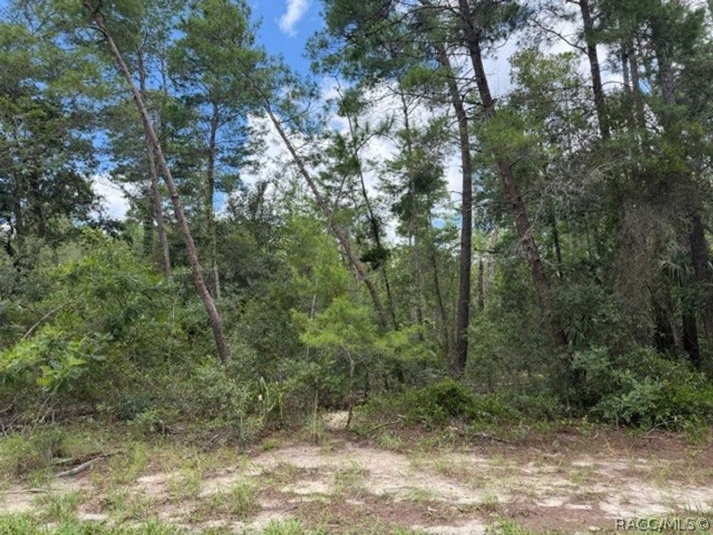 13, 15, & 16 Petunias Court, Homosassa, FL 34446