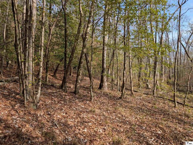 163 L E PHILLIPS ROAD, Eros, LA 71238