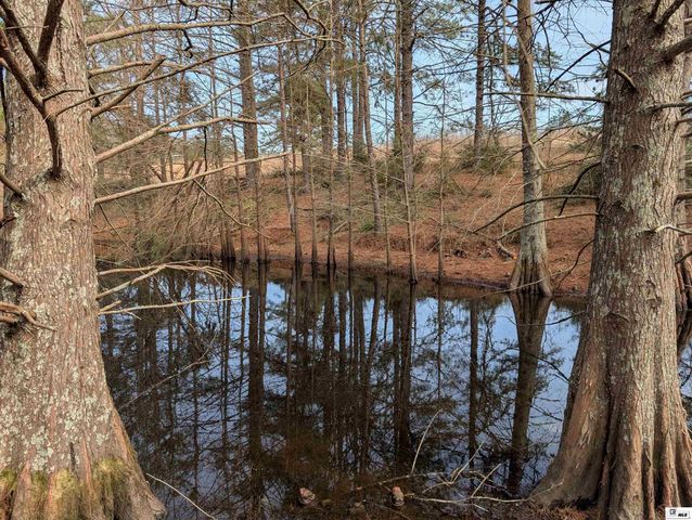 163 L E PHILLIPS ROAD, Eros, LA 71238