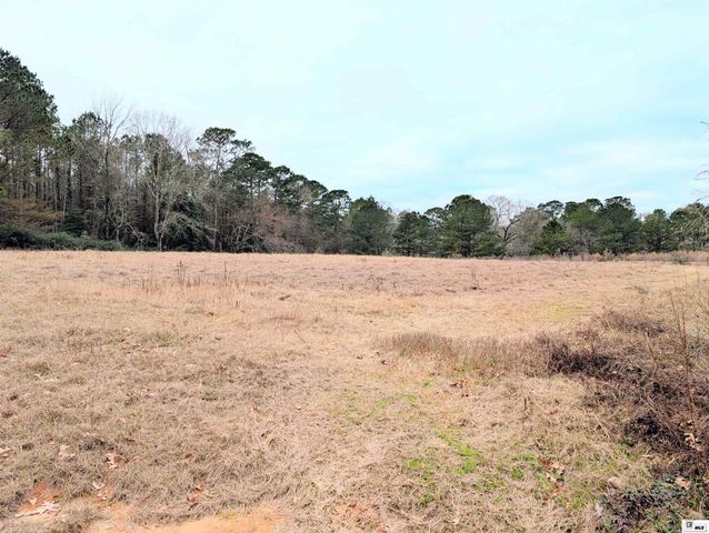 163 L E PHILLIPS ROAD, Eros, LA 71238