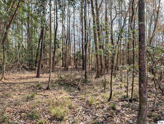 163 L E PHILLIPS ROAD, Eros, LA 71238