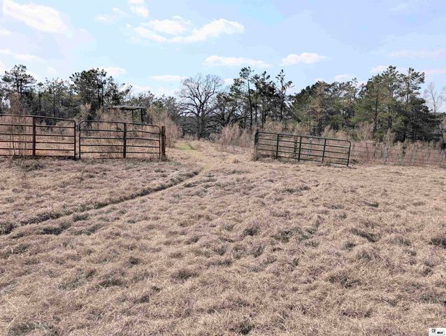 163 L E PHILLIPS ROAD, Eros, LA 71238